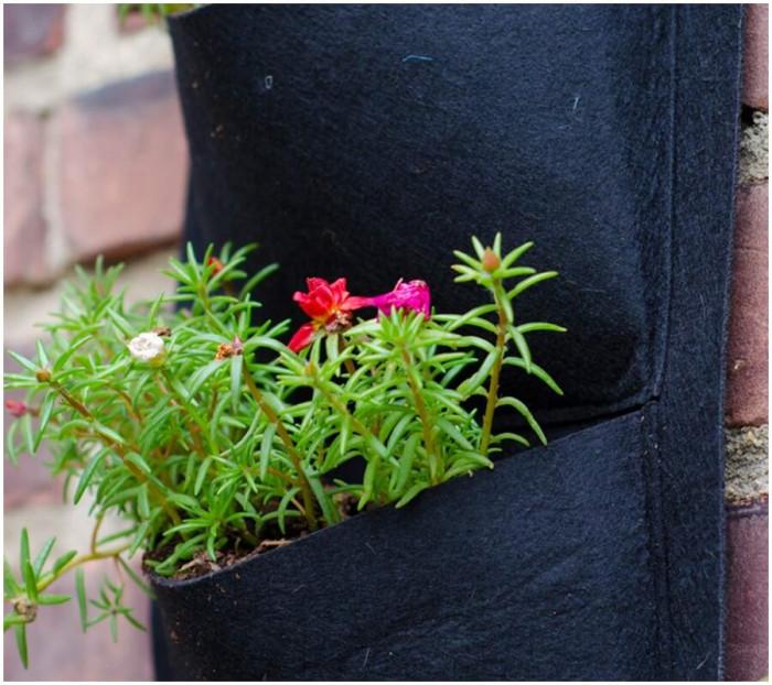 Вертикално градинарство!