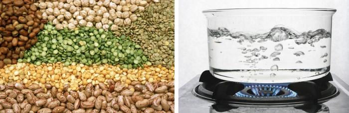 Бобови растения