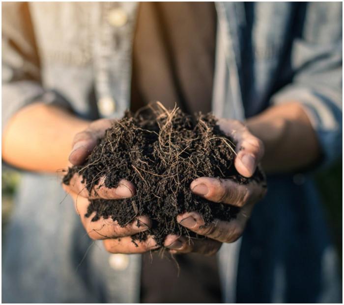Опитайте се да направите сами компост!