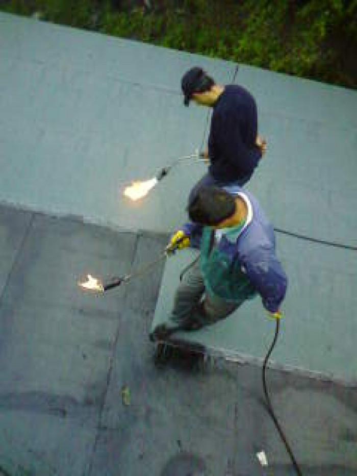 Снимка  от Трайко Сотиров