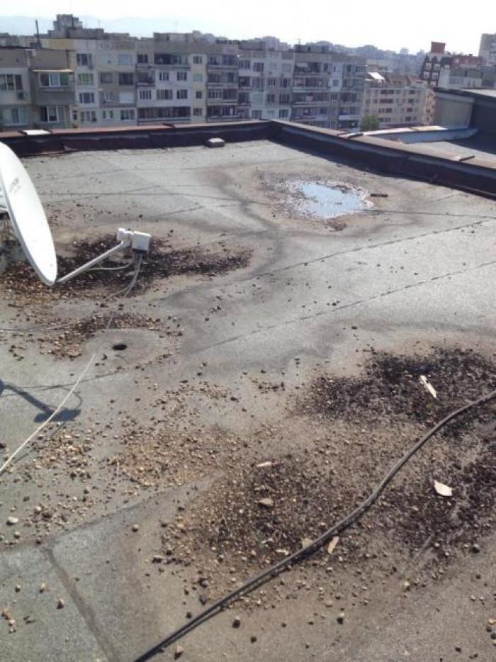 Снимка  от румен радославов