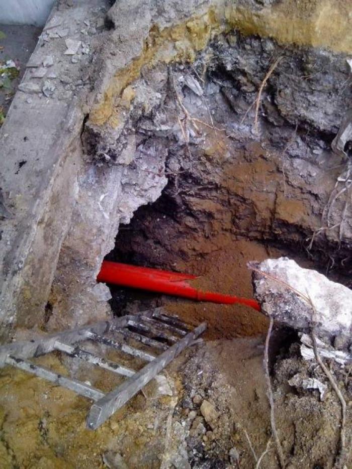 Снимка  от Иво Григоров