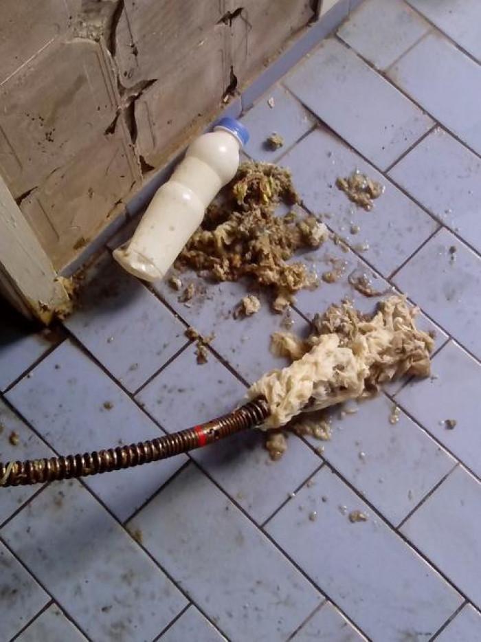 Снимка  от Иво Григоров