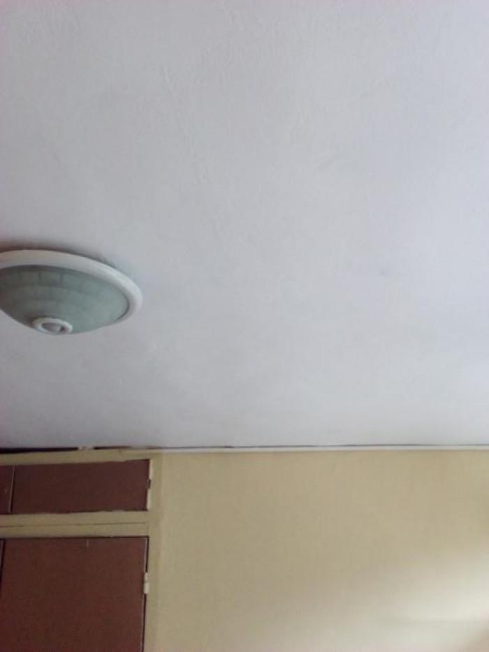 Снимка  от Илия Пашов