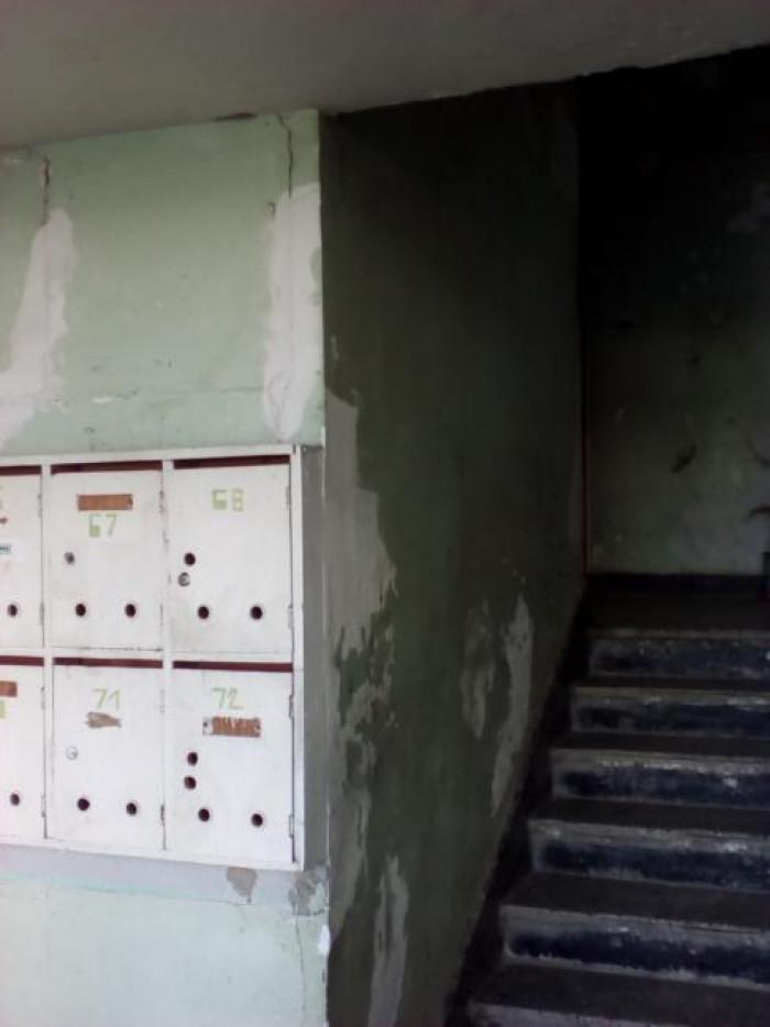 Снимка  от Илия Пашов