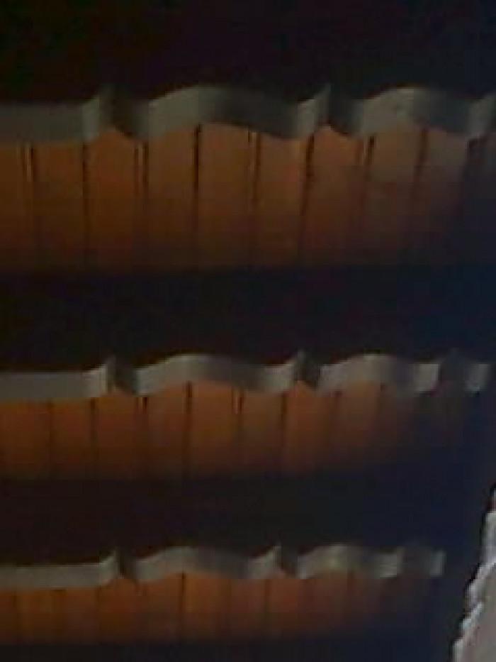 Снимка  от Цветомир Маринов