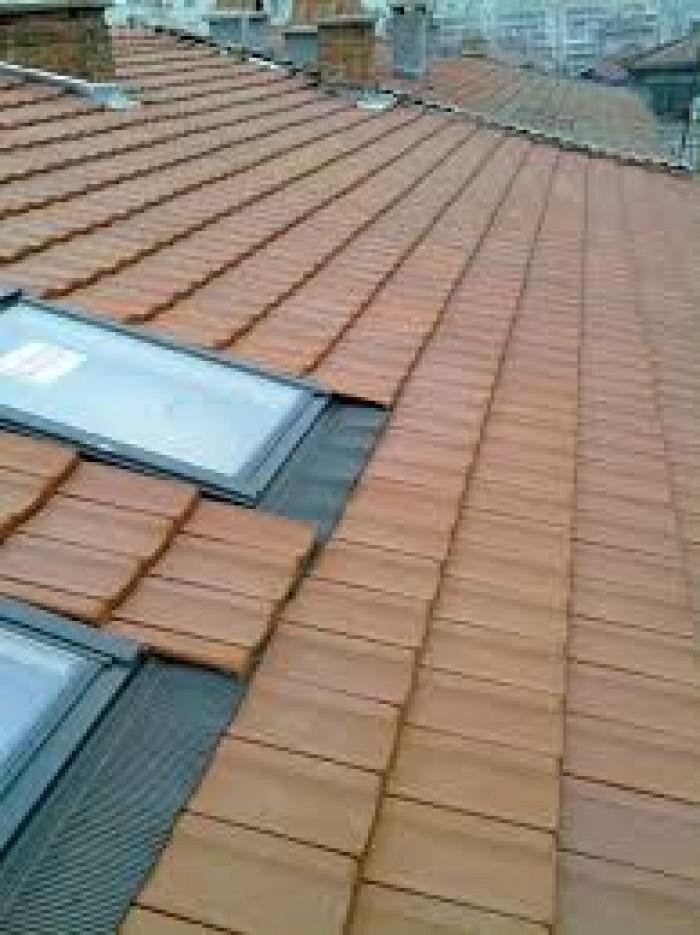 Снимка  от Димитър Генчев