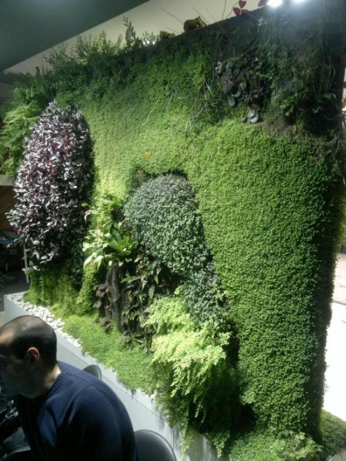 Снимка  от Мистър Грийн Mr.Green