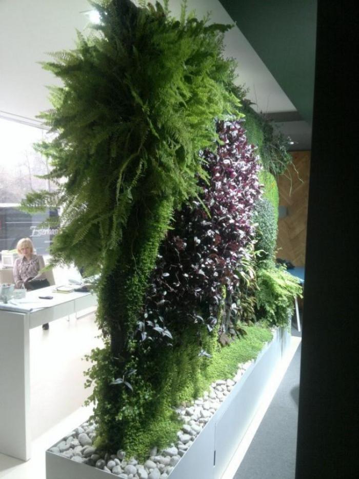 Снимка  от Мистър Грийн Mr.Green