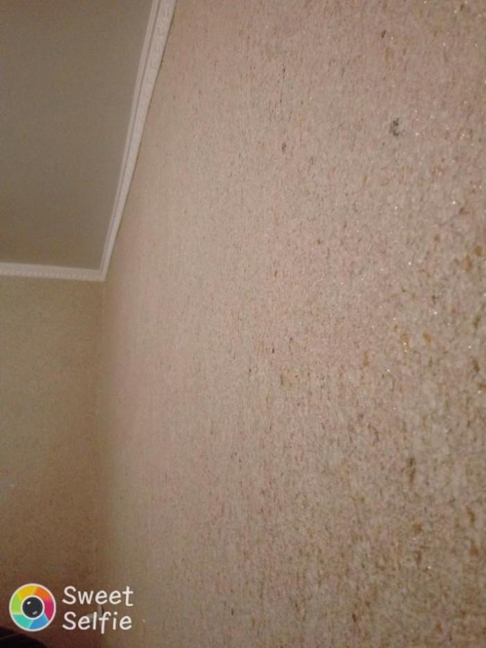 Течен Тапет