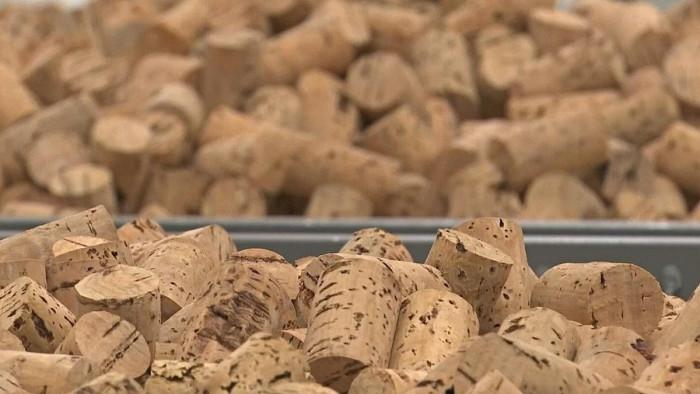 Какво трябва да знаем за корка?