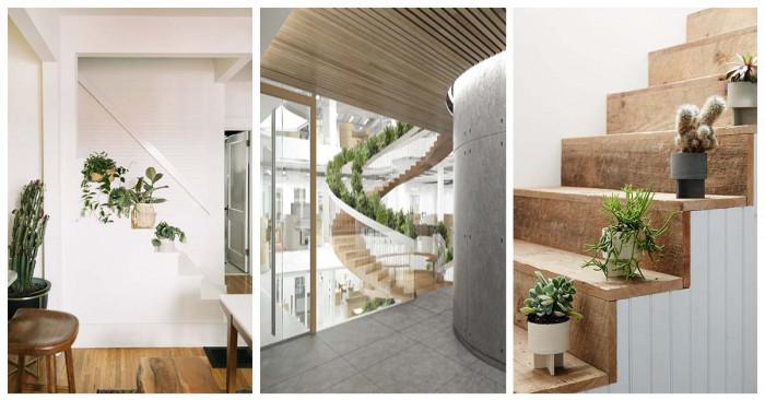 Свежата растителност променя изцяло настроението в дома