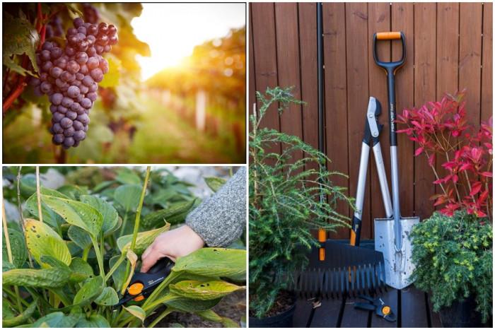 Няколко съвета как подготвим градината за есента