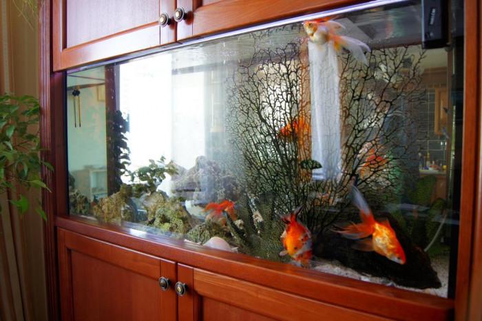 Декоративните елементи оформят стила на аквариума