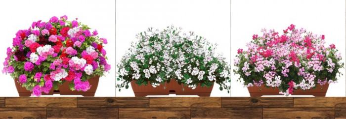 ДА ЗАПОЧВАМЕ!