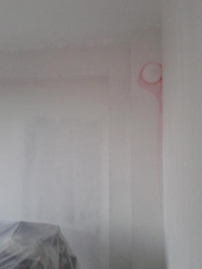 Снимка  от Северин Ленков