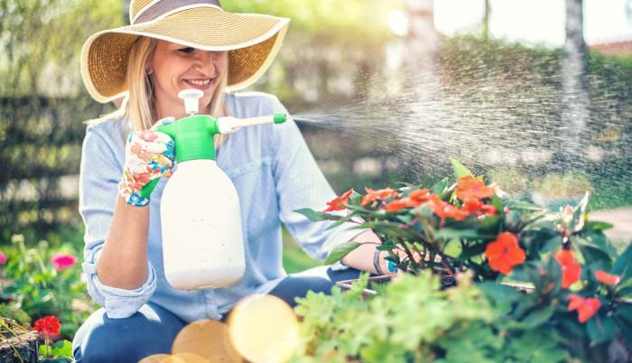 Защита от вредители