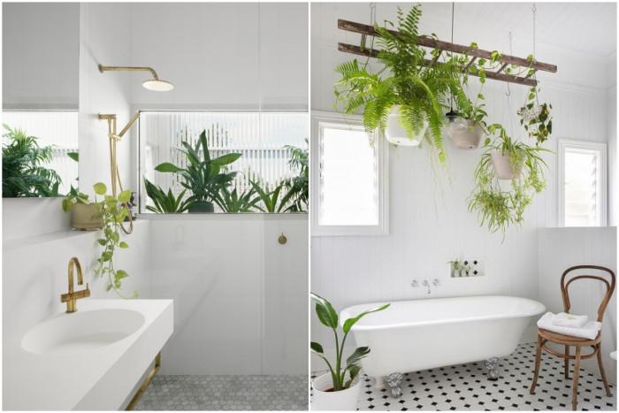 Запълнете помещението с растения