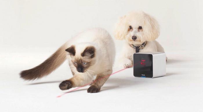 Интерактивно устройство за домашни любимци