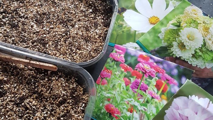 Правило №1 Обърнете внимание на семената