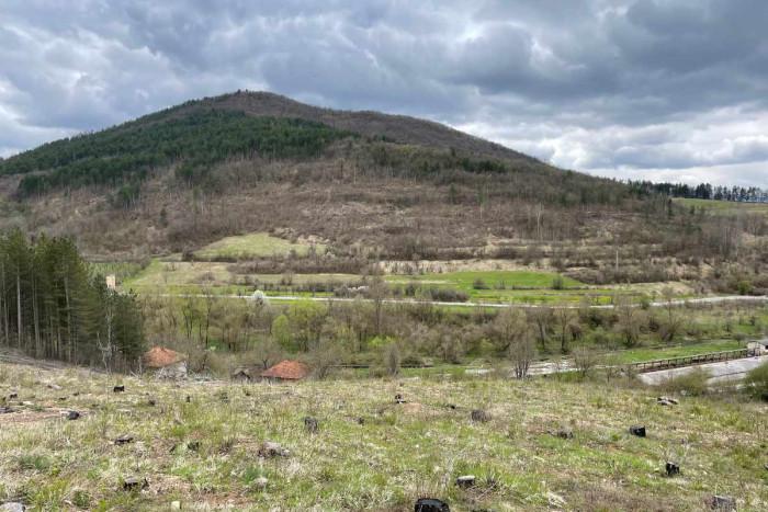 От къде стартира залесяването?