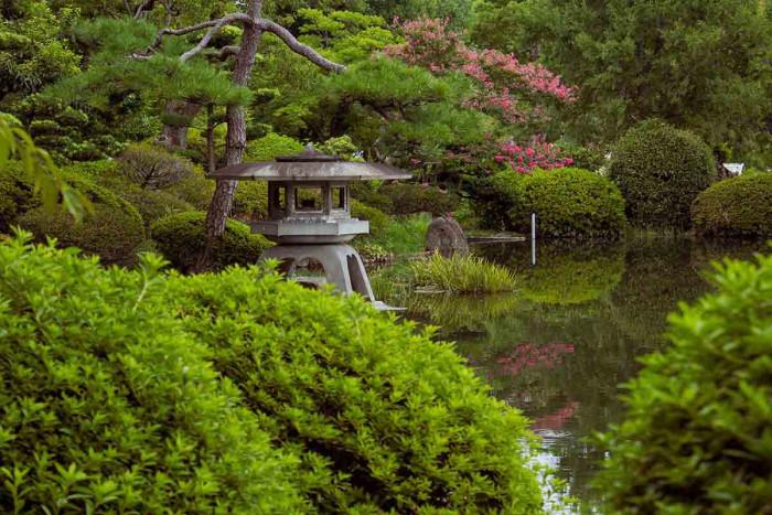 Хармония в цветовете