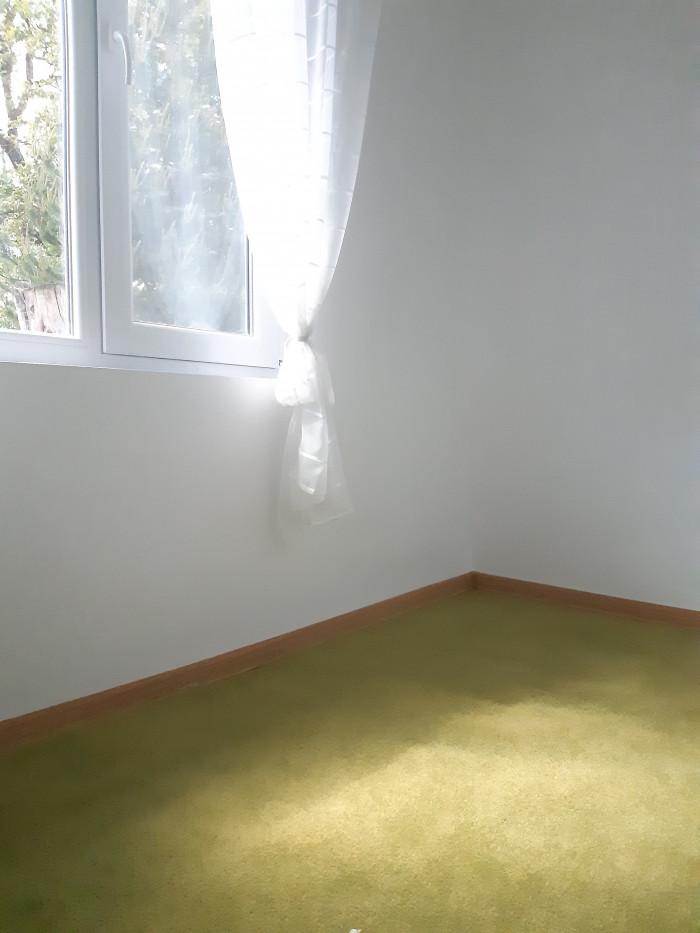 Ремонт на село за една баба.