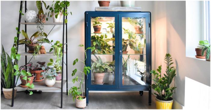 Направи си сам красива домашна оранжерия