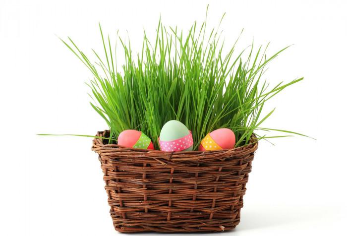 Зеленото като основен цвят