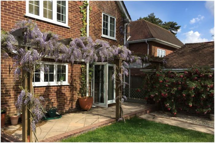 Засаждане на вистерия