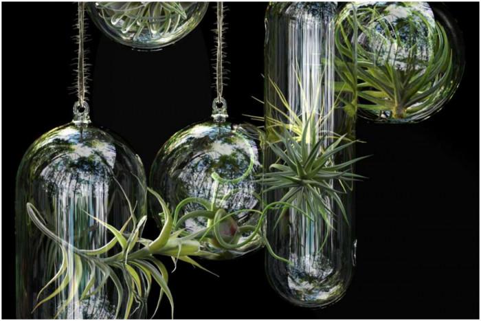 Пролетно настроение през цялата година