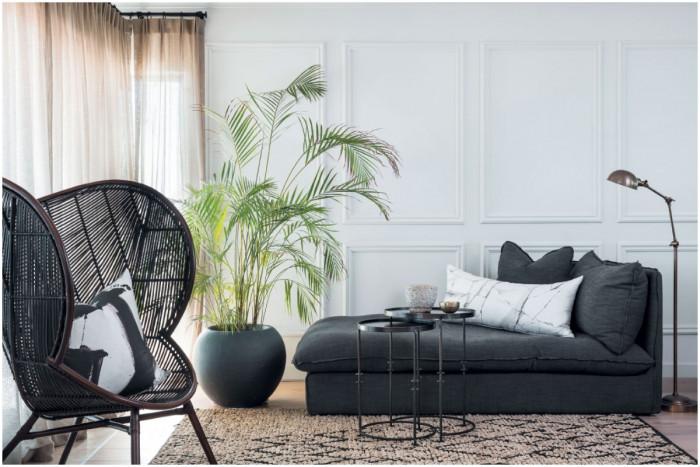 Когато растенията трябва да използват прекалено много от енергията си, за да се предпазят от високите температури или силна слънчева светлина, те не могат да се развиват в пълния си блясък.