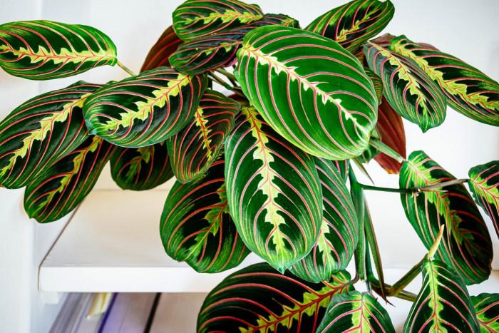 Усещане за спокойствие