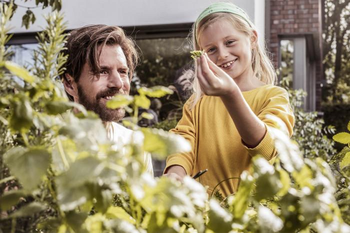 Устойчивост