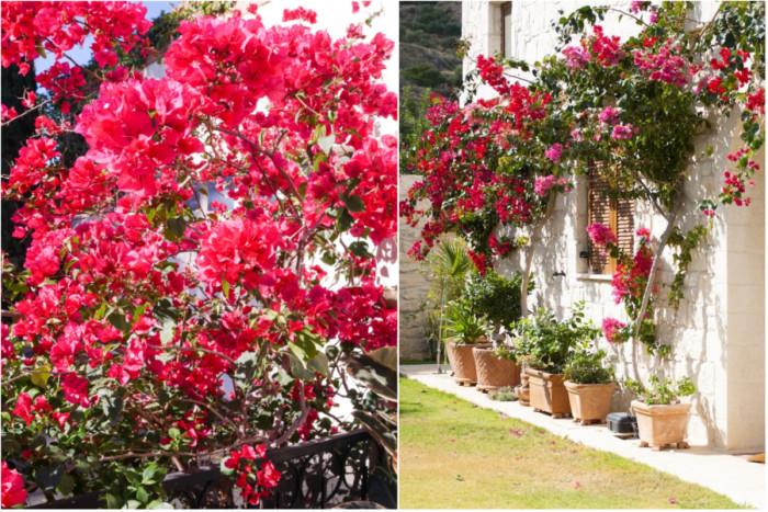 Омировото вдъхновение