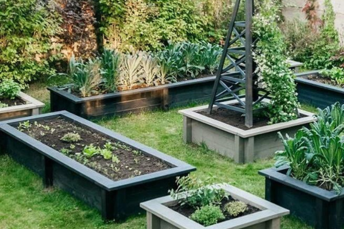 Декоративни бордове