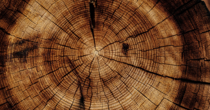 ДЪРВЕН МАТЕРИАЛ - ЗАЩО ДА ЗАЛОЖИМ НА НЕГО?