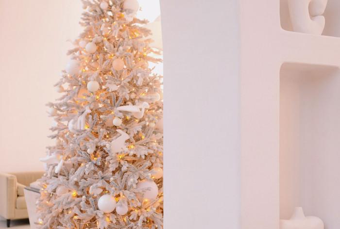 Грижа за бялата елха