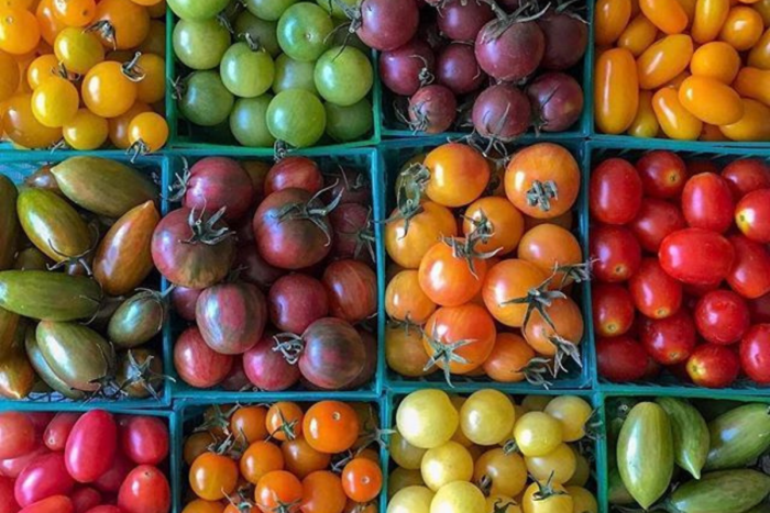 Започнете с избора на сорт