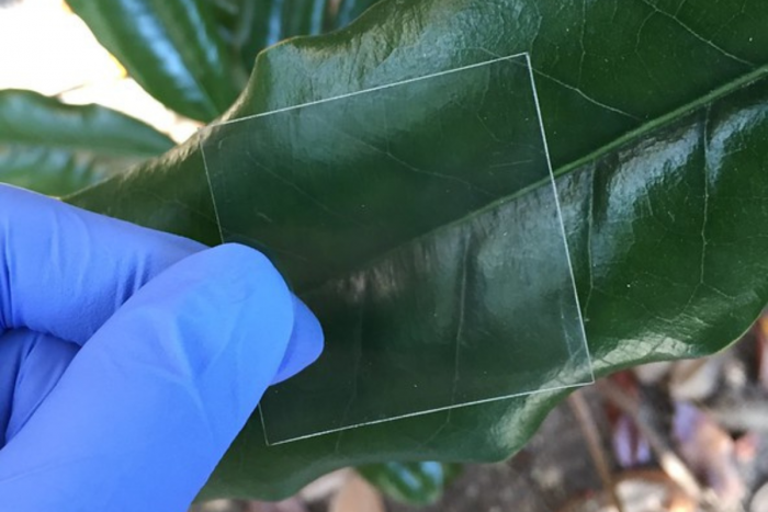 Интересни факти