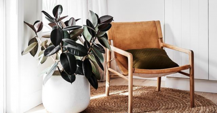 Как да изберем правилните цветя за всяко помещение?