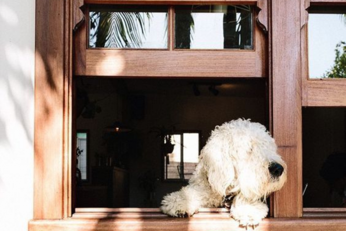 За да няма изненади