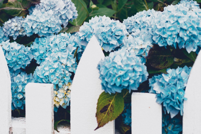 Подрежете излишното