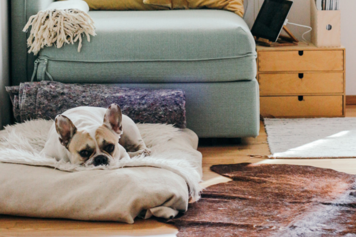 Нежелание да се прибираме вкъщи