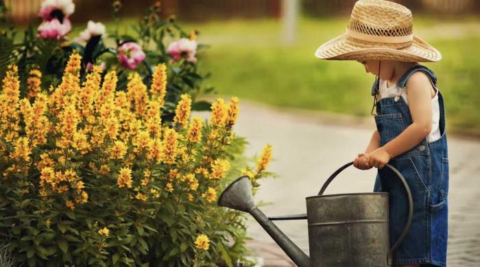 Как да поливаме правилно градината?