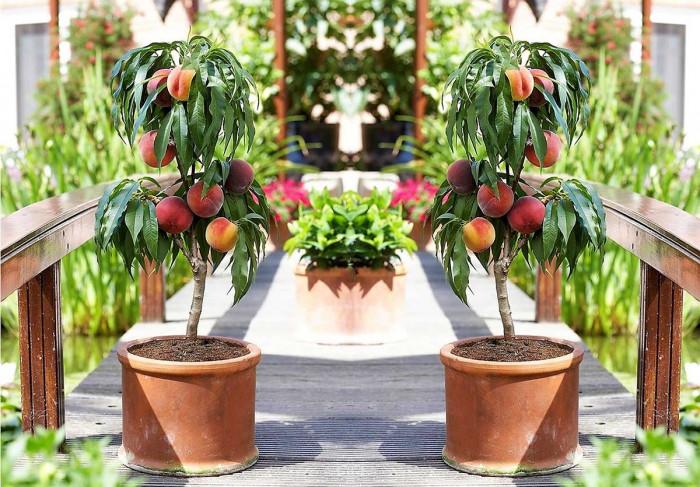 Правилна грижа и поддръжка