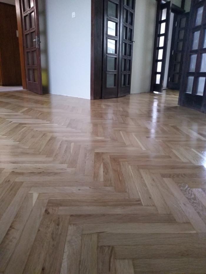 IMG_20241212_154240312