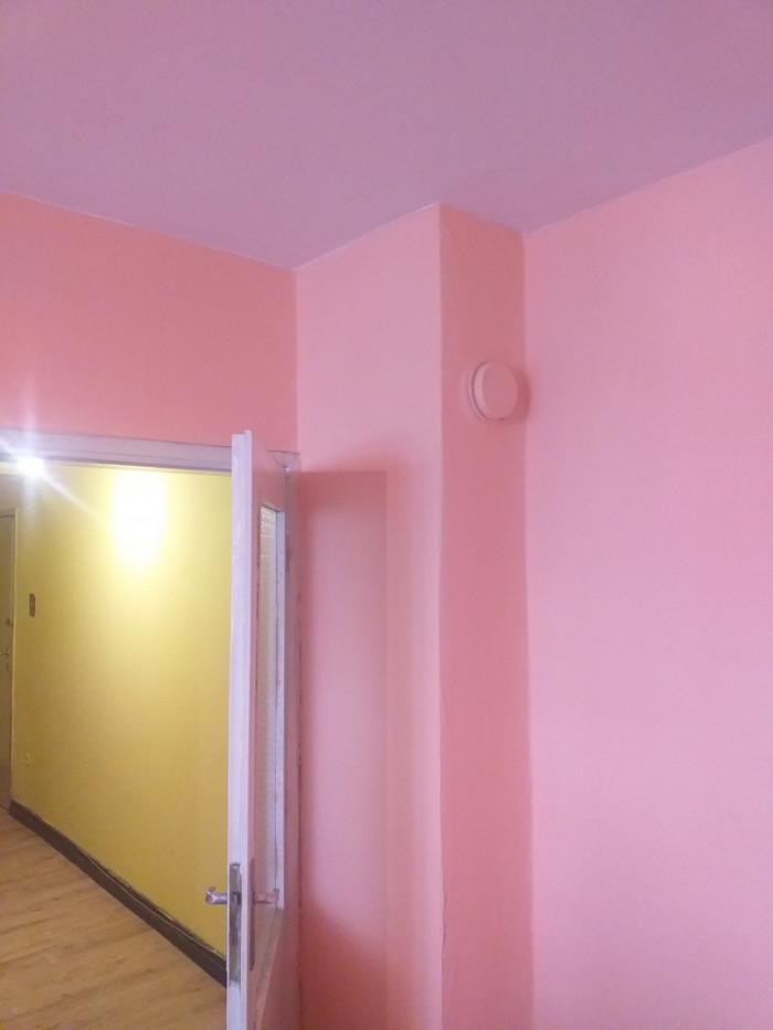 Бояджийски услуги