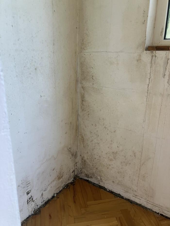 тераса преди