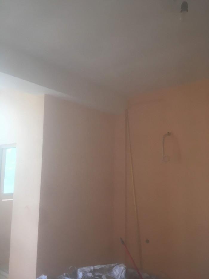 inbound4330678428665385200